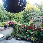 民宿 Instytut Zdrowia I Hortiterapii *