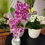 民宿 Instytut Zdrowia I Hortiterapii
