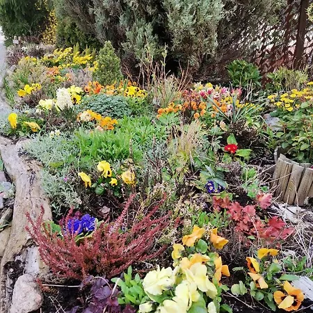 Instytut Zdrowia I Hortiterapii Kwatera prywatna *