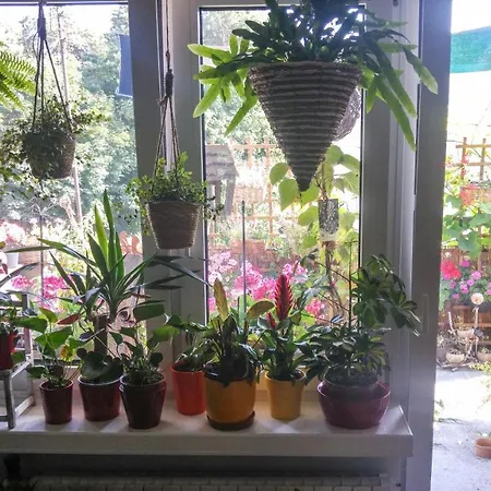 Instytut Zdrowia I Hortiterapii * Mrągowo