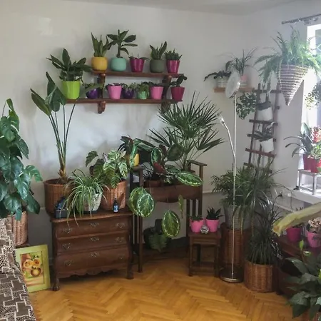 Instytut Zdrowia I Hortiterapii