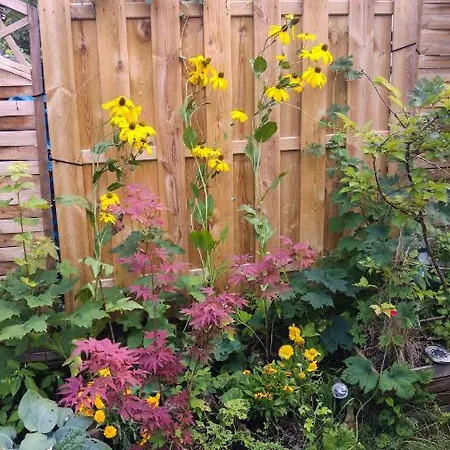 Instytut Zdrowia I Hortiterapii Mrągowo