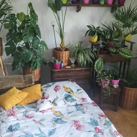 Instytut Zdrowia I Hortiterapii Kwatera prywatna