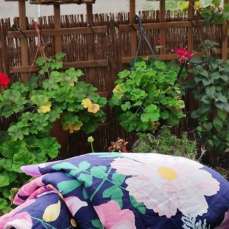 Instytut Zdrowia I Hortiterapii Kwatera prywatna Mrągowo