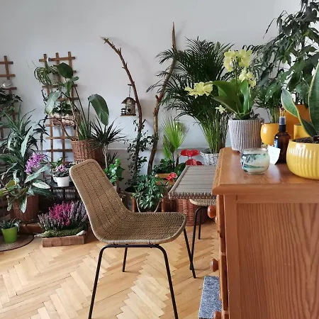 Instytut Zdrowia I Hortiterapii منزل للإقامة *