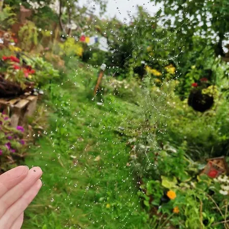 Instytut Zdrowia I Hortiterapii Kwatera prywatna