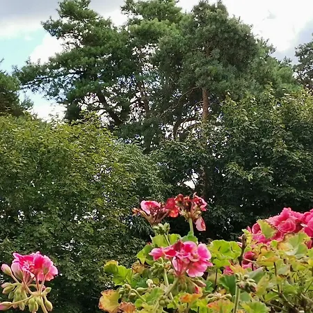 Kwatera prywatna Instytut Zdrowia I Hortiterapii Mrągowo