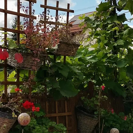 Instytut Zdrowia I Hortiterapii Mrągowo