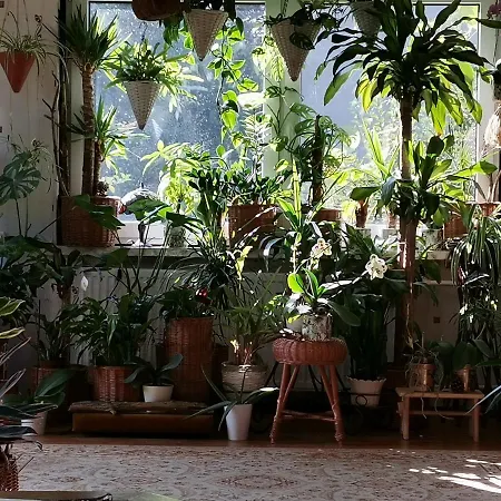 Instytut Zdrowia I Hortiterapii Mrągowo