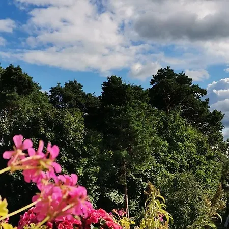 Instytut Zdrowia I Hortiterapii Kwatera prywatna *