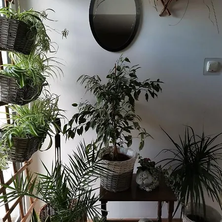 Kwatera prywatna Instytut Zdrowia I Hortiterapii *