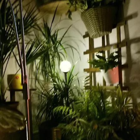 Instytut Zdrowia I Hortiterapii Kwatera prywatna