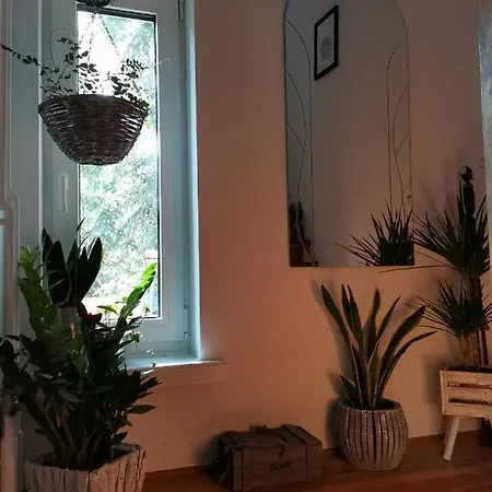 Instytut Zdrowia I Hortiterapii * Mrągowo