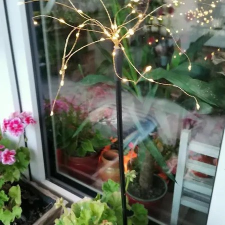 Instytut Zdrowia I Hortiterapii Mrągowo