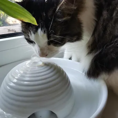 Instytut Zdrowia I Hortiterapii *