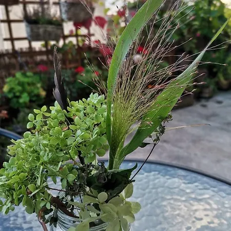 Instytut Zdrowia I Hortiterapii Kwatera prywatna Mrągowo