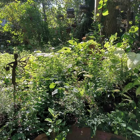 منزل للإقامة Instytut Zdrowia I Hortiterapii