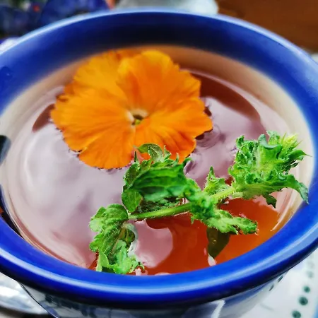 Kwatera prywatna Instytut Zdrowia I Hortiterapii Mrągowo