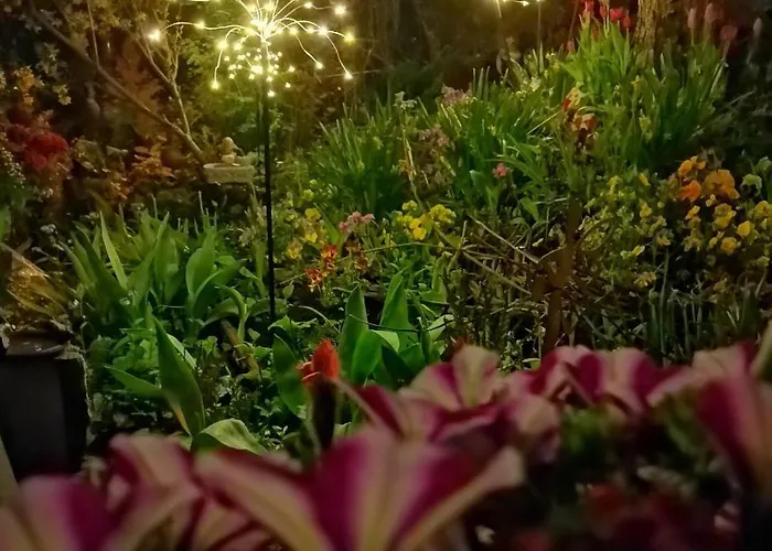 Instytut Zdrowia I Hortiterapii Rum i privatbostad