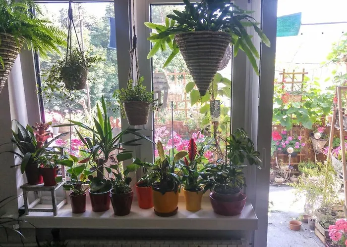 Instytut Zdrowia I Hortiterapii * Mrągowo